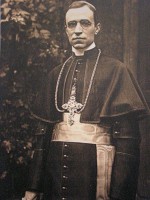 /album/veneravel-pio-xii/a1385545-621945854494801-1844495678-n-jpg/